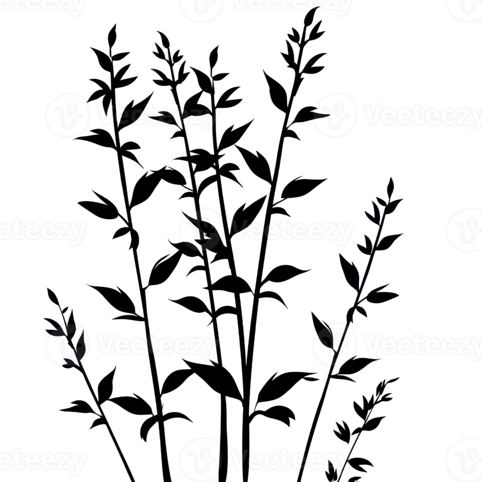 Silhouette of tall grass blades in black and white, showcasing nature's elegance and simplicity. Ideal for botanical and minimalist designs. png