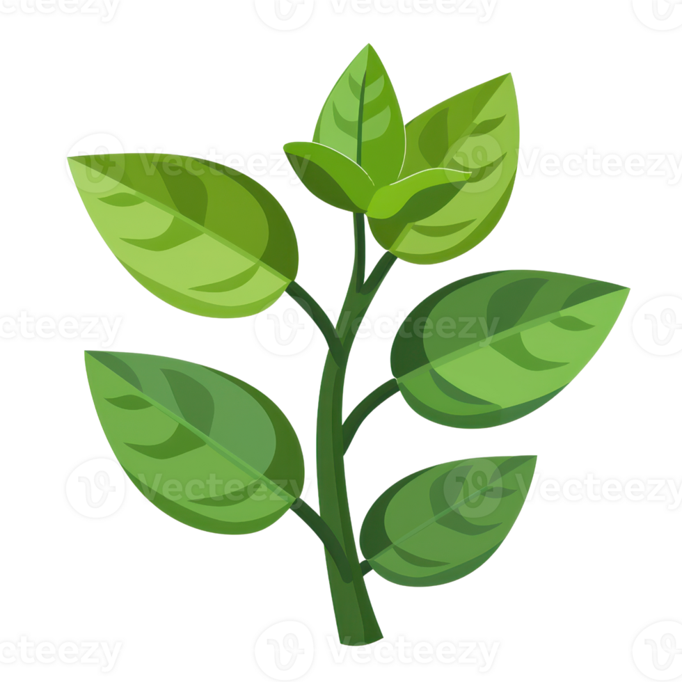 illustration of a green leafy plant with multiple branches and vibrant leaves on a transparent background. png