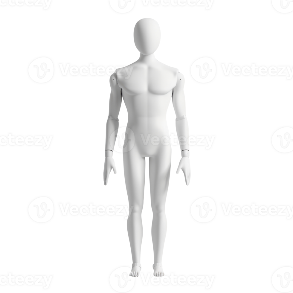 White blank human figure standing upright, ideal for design, art, and educational purposes, highlighting anatomical structure. png