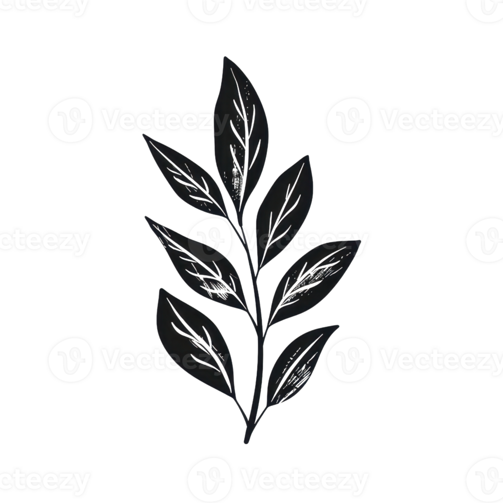 Elegant black leaf illustration, isolated on a transparent background, perfect for design and decoration projects. png