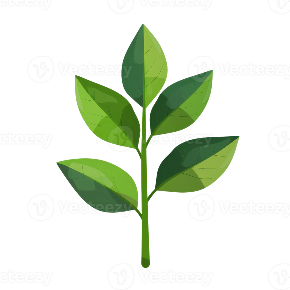 illustration of a green leaf plant against a transparent background. Perfect for nature, botanical, and eco-friendly designs. png