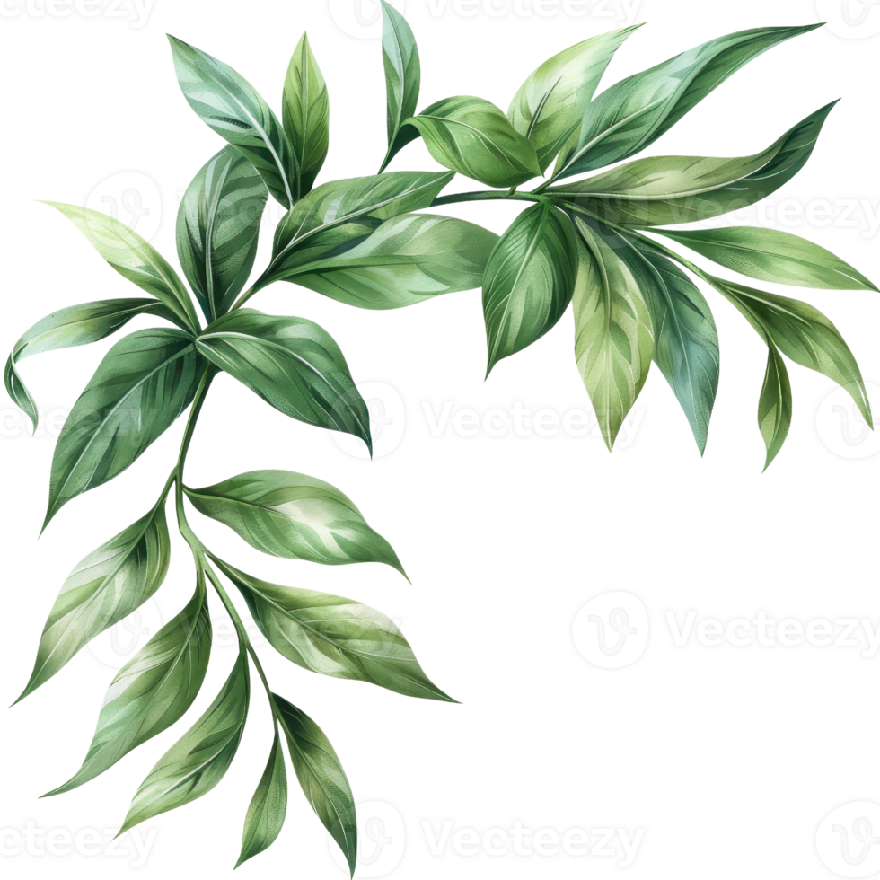 Beautiful green tropical leaves in a delicate branch arrangement. Perfect for nature-themed designs and decorations. png