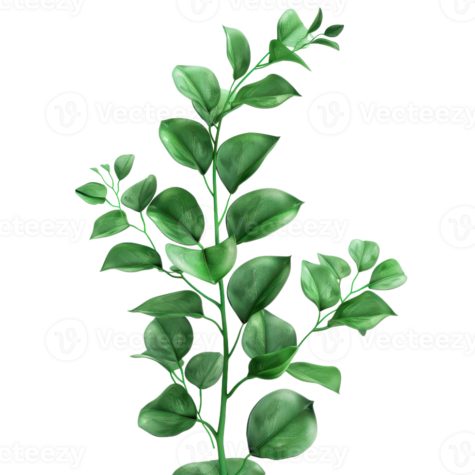 Close-up of vibrant green eucalyptus leaves on branches. Ideal for botanical, natural, and greenery themed designs and projects. png