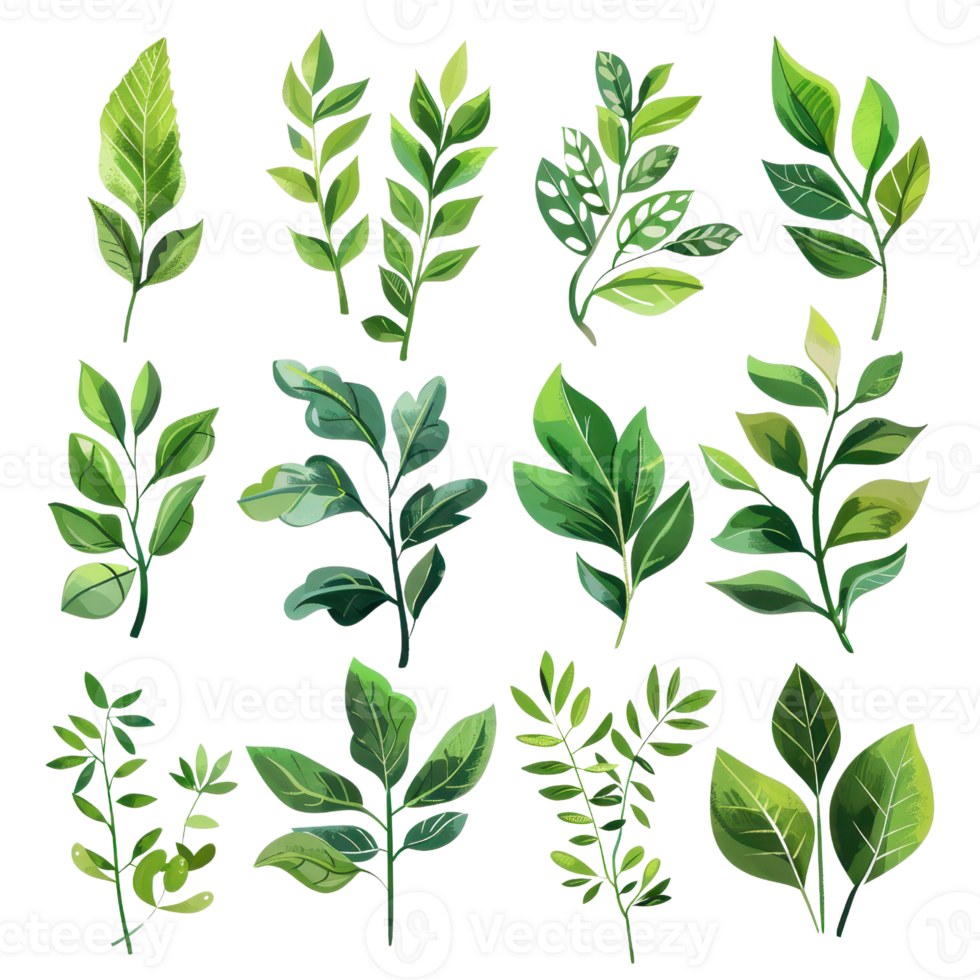 Collection of various hand-drawn green leaves with different shapes and sizes, perfect for botanical and nature-themed designs. png
