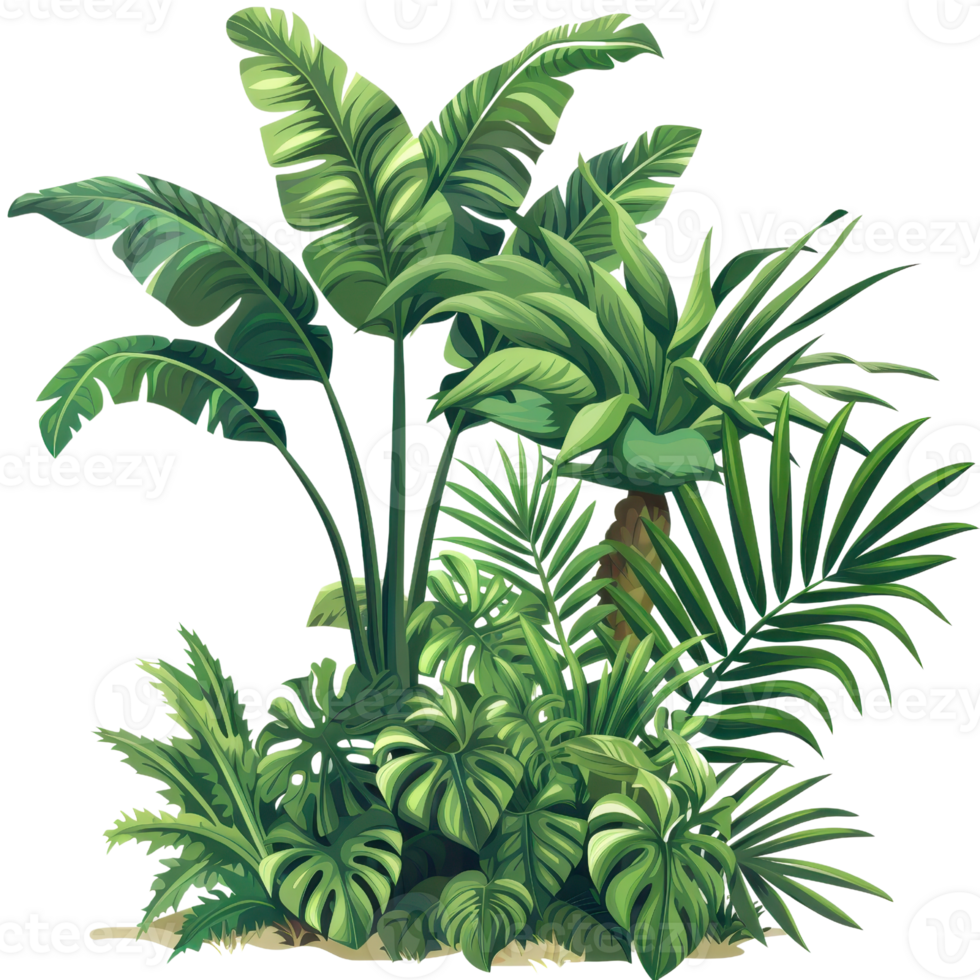Lush green tropical foliage with various types of leaves creating a vibrant and exotic jungle-like environment. png