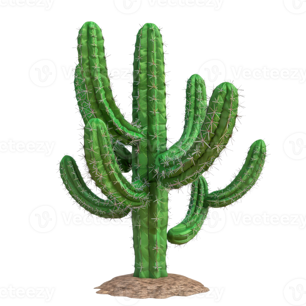 A realistic green cactus with multiple arms isolated on a transparent background. perfect for desert-themed designs and projects. png