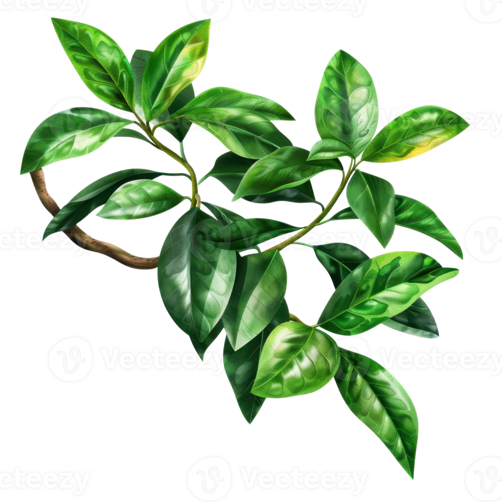 A vibrant, digital illustration of green leaves on a branch, suitable for nature-themed projects and backgrounds. png