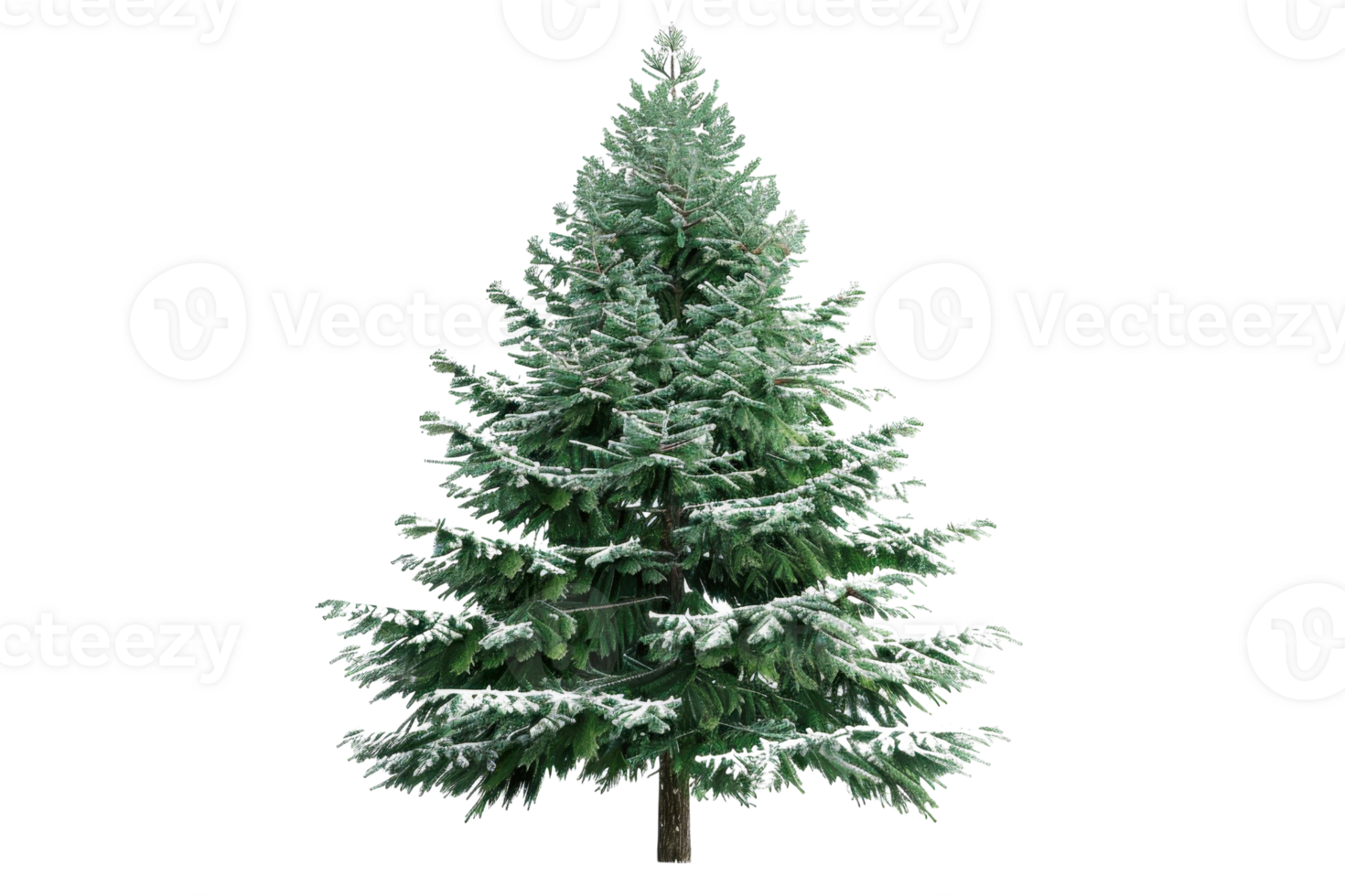 Snow-covered evergreen tree isolated on transparent background. Perfect for winter or holiday-related designs and projects. png