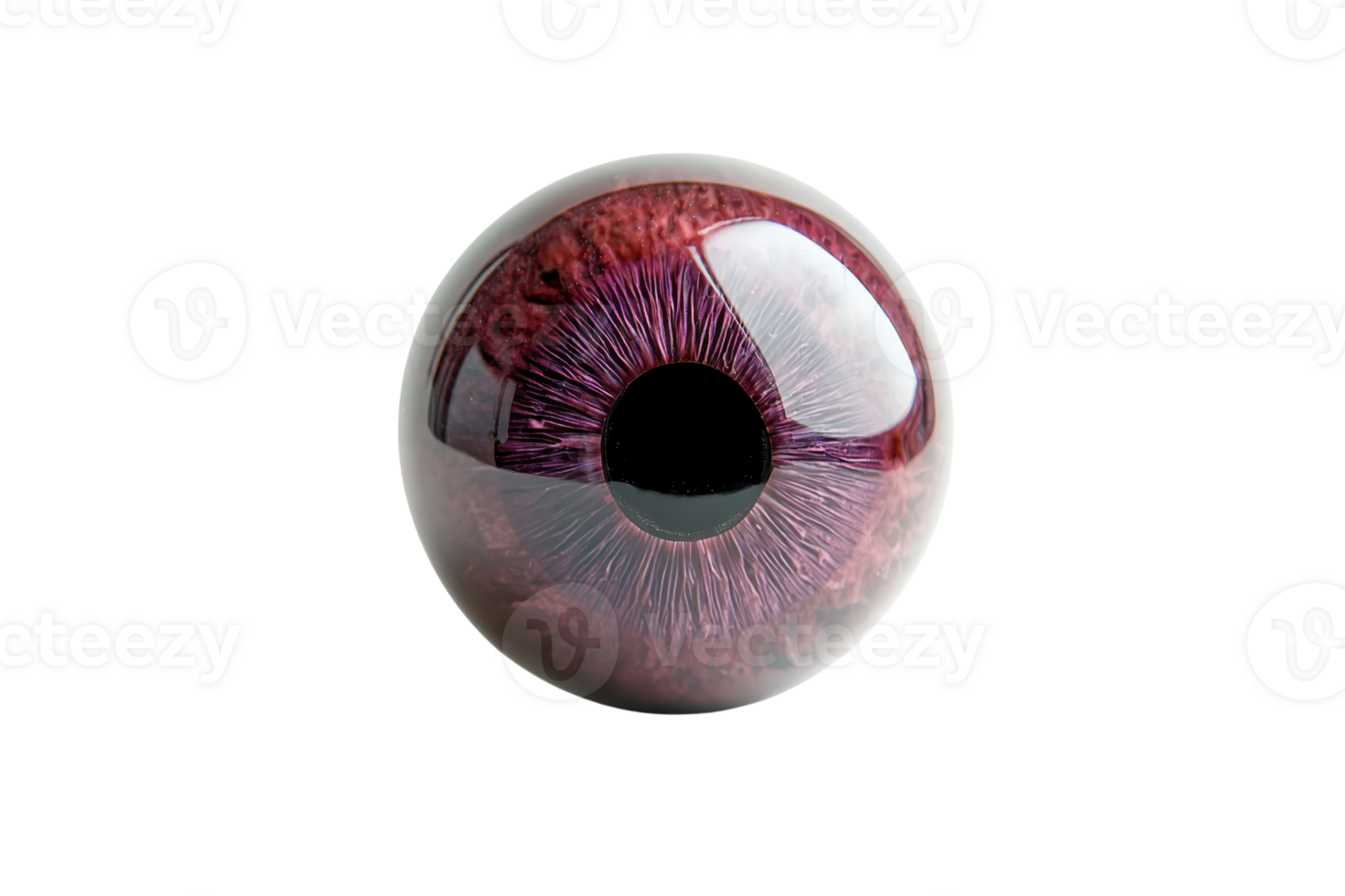 Close-up of a human eye with striking purple iris. Detailed and intriguing visual of eye anatomy, highlighting the intricate color and structure. png