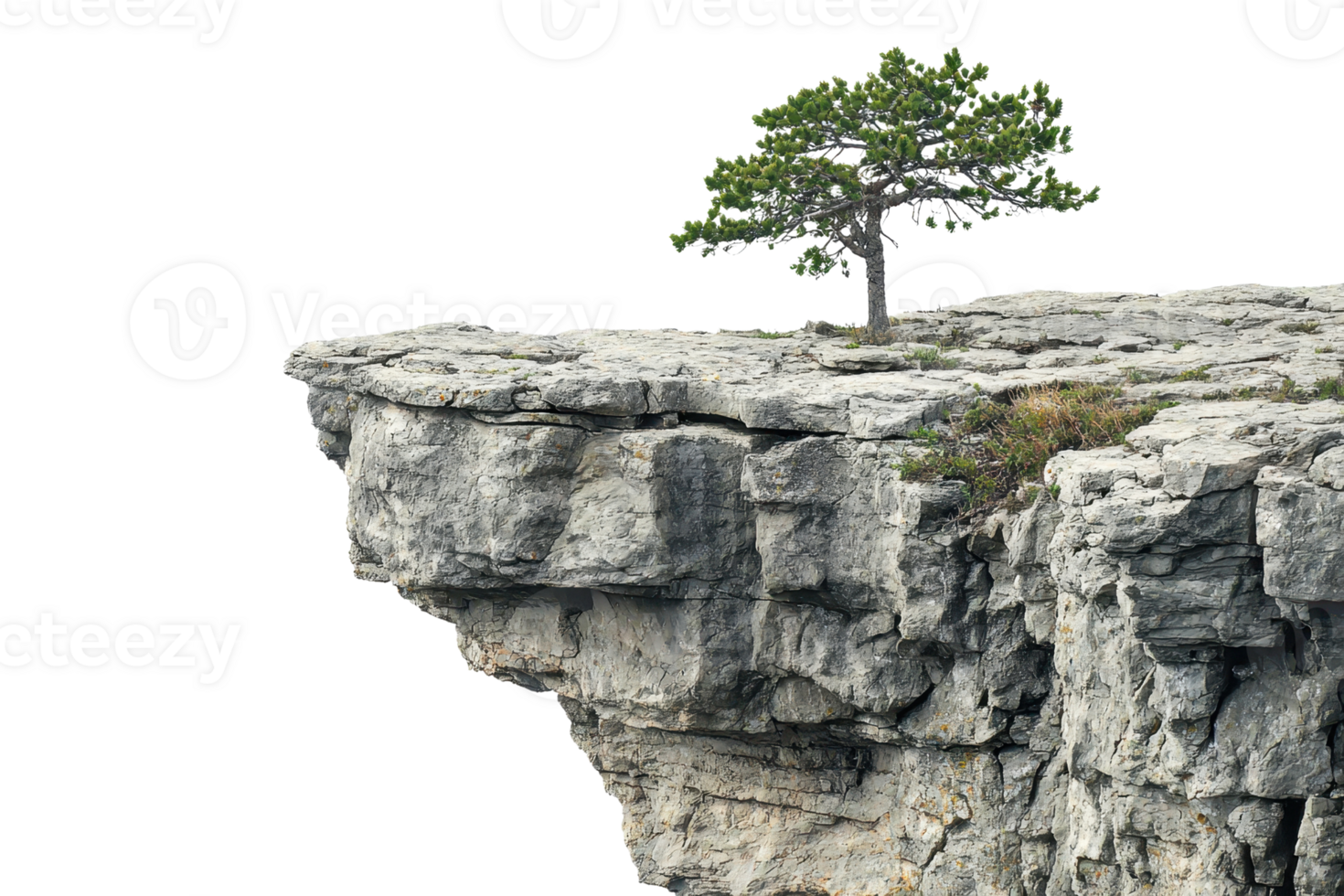 A lone tree standing resiliently on the edge of a rugged cliff, showcasing natural beauty and strength. png