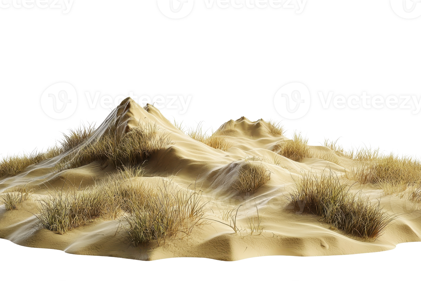 A picturesque sandy dune landscape with small tufts of grass, capturing the serene essence of a desert or coastal scene. png