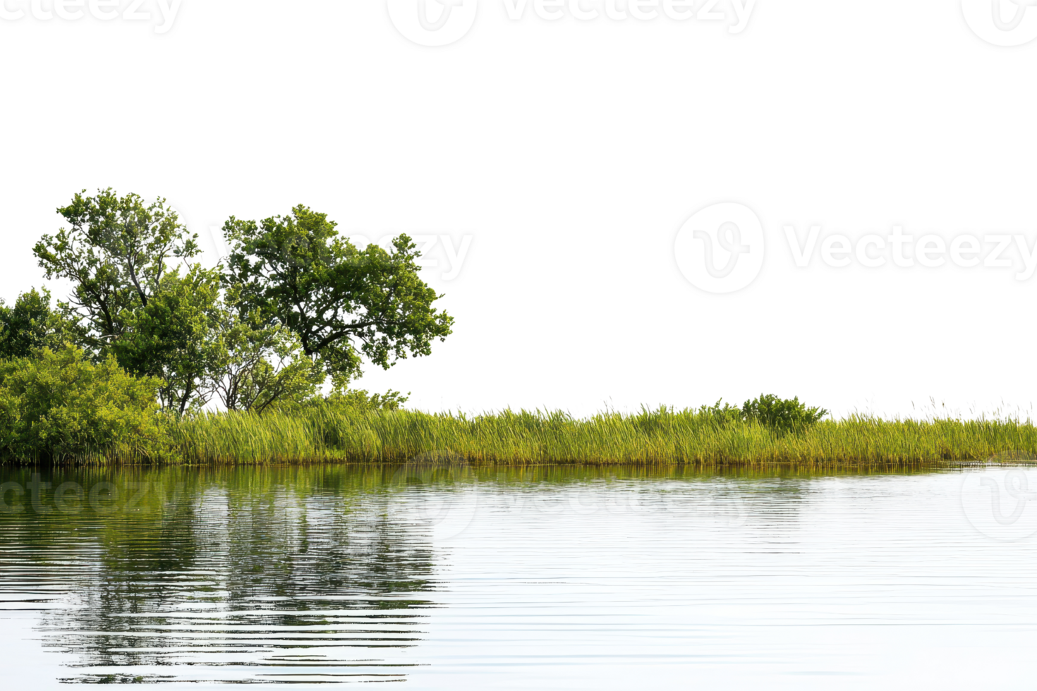 A serene riverside scene with lush green trees and grass reflected in calm, clear water, creating a tranquil and natural setting. png