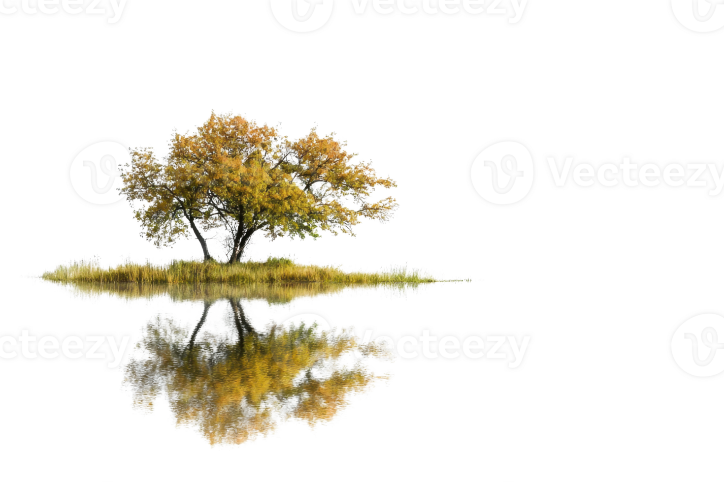 A solitary tree on a small island with its reflection in calm water, showcasing autumn colors against a transparent background. png