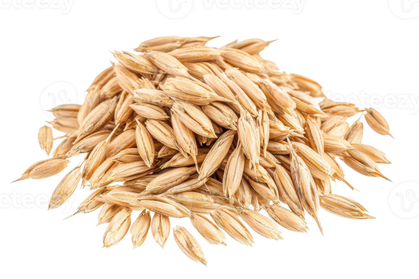 A close-up image of a pile of oat grains, showcasing their natural texture and color on a transparent background. png