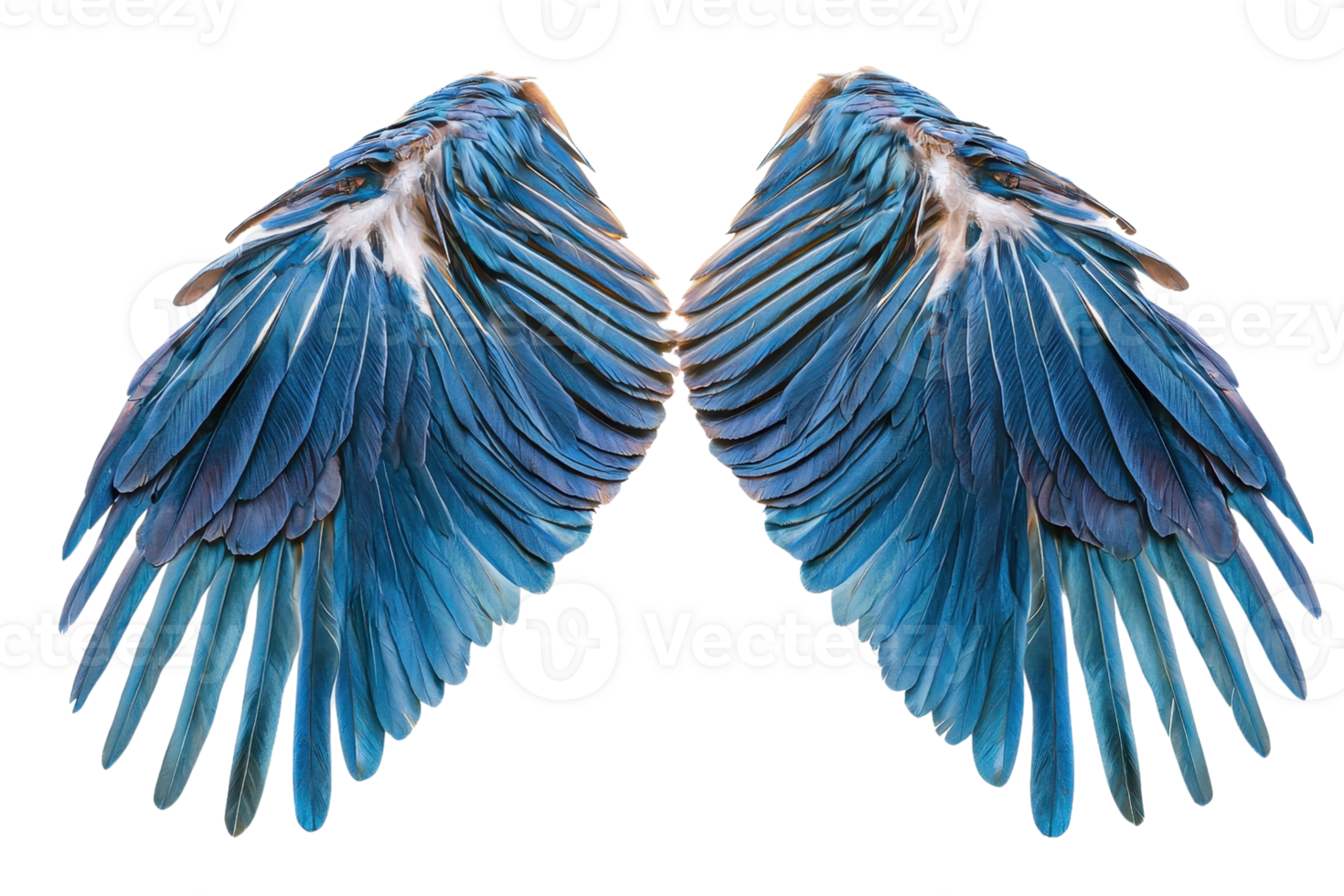 Beautiful pair of vibrant blue angel wings isolated on a transparent background. perfect for fantasy, mystical, and artistic designs. png