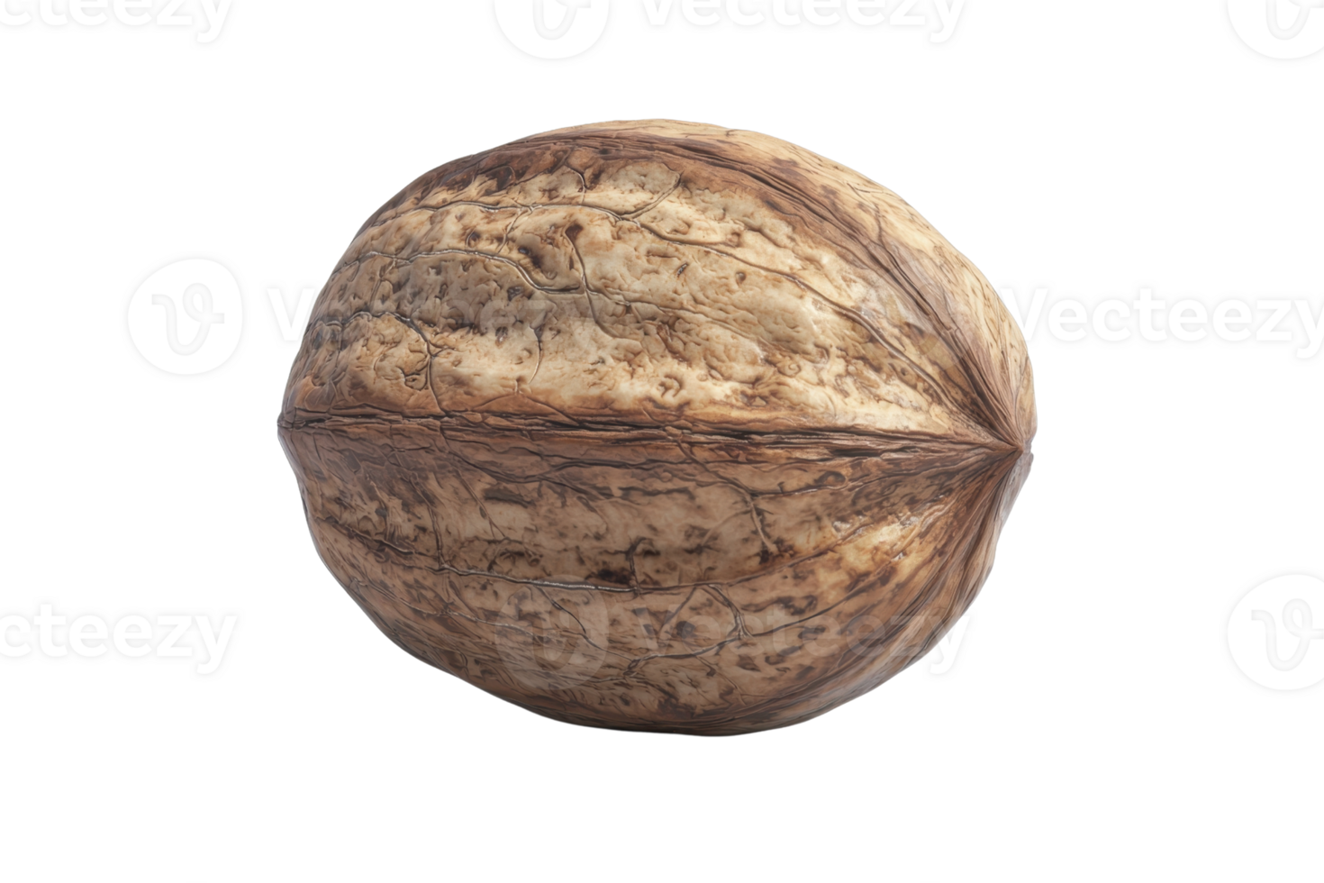 Close-up of a single walnut with detailed texture, showcasing its natural shell. Perfect for food, health, and nutrition themes. png