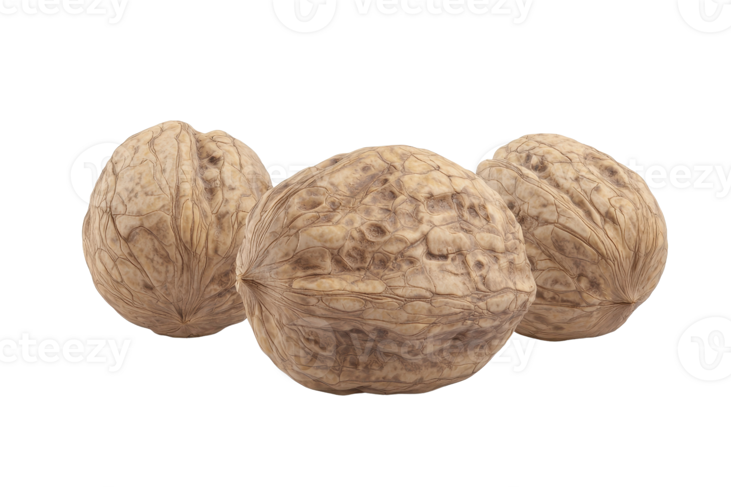 Close-up of three whole walnuts against a transparent background. Detail and texture are shown clearly in this isolated image. png