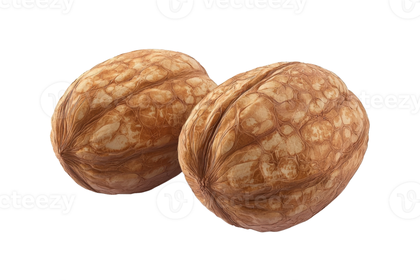 Close-up of two whole walnuts isolated on a transparent background. Perfect for food, health, and nutrition-related projects. png