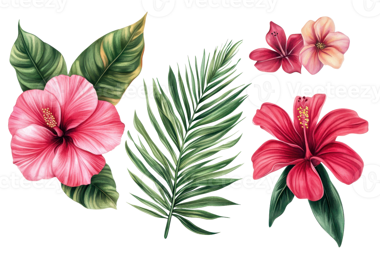 Colorful tropical flowers and green leaves on a transparent background. Perfect for designs, invitations, and summer themes. png