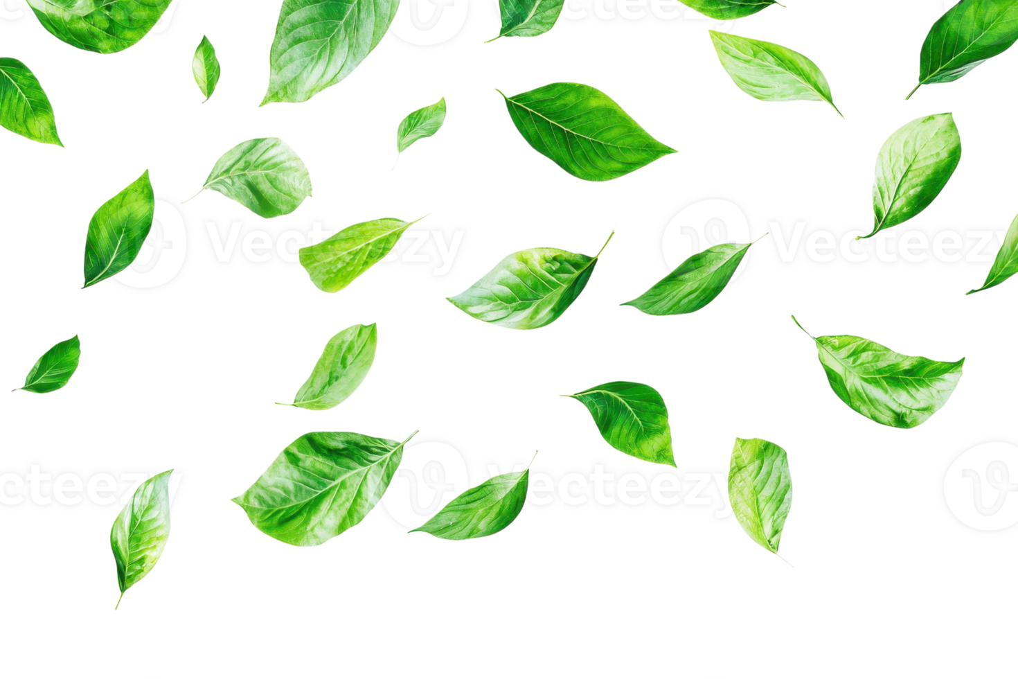 Fresh green leaves floating on transparent background. creating nature-inspired, minimalistic and clean design perfect for environmental themes. png