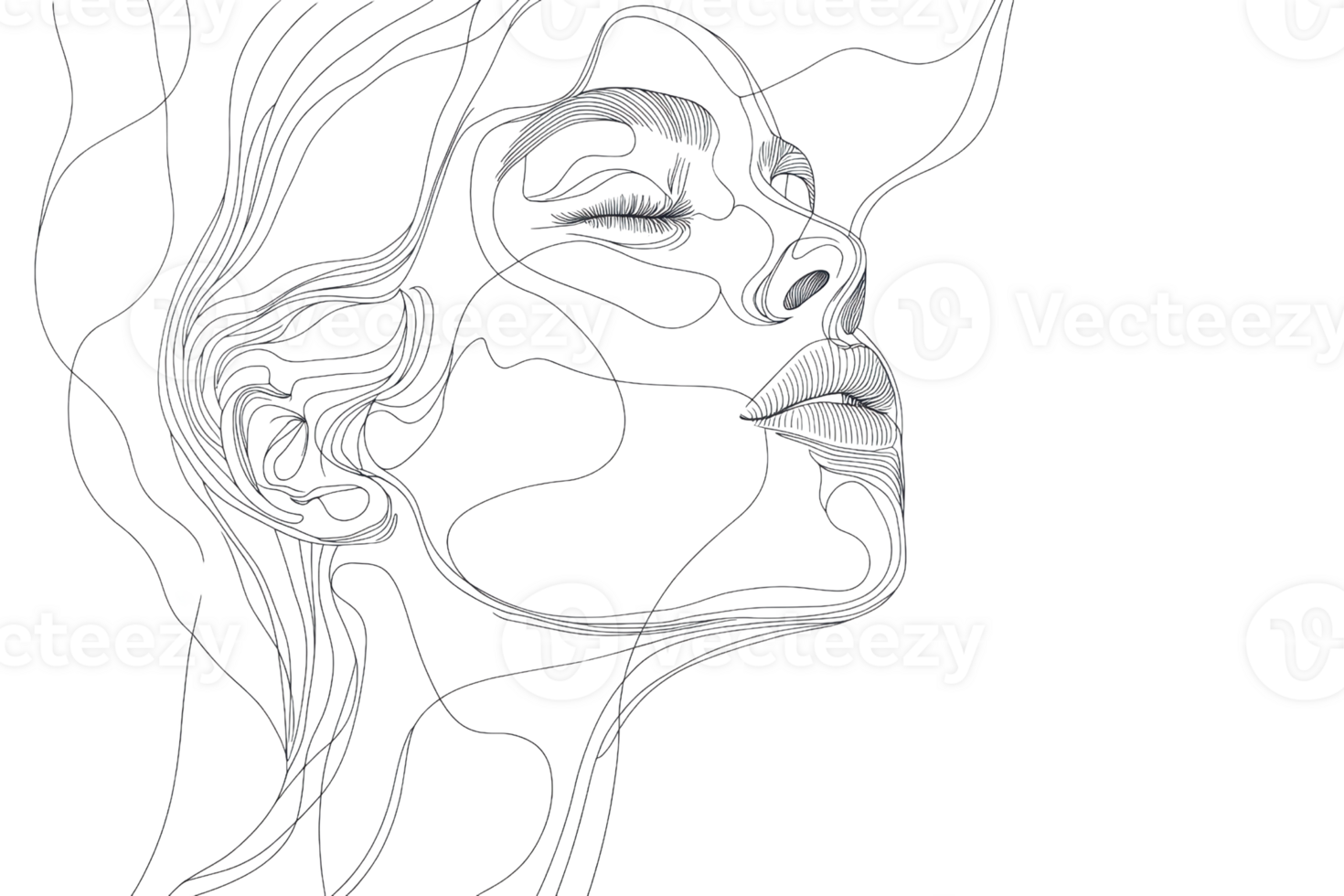 Elegant minimalist line art of a woman's face, featuring flowing lines and abstract details on a transparent background. png