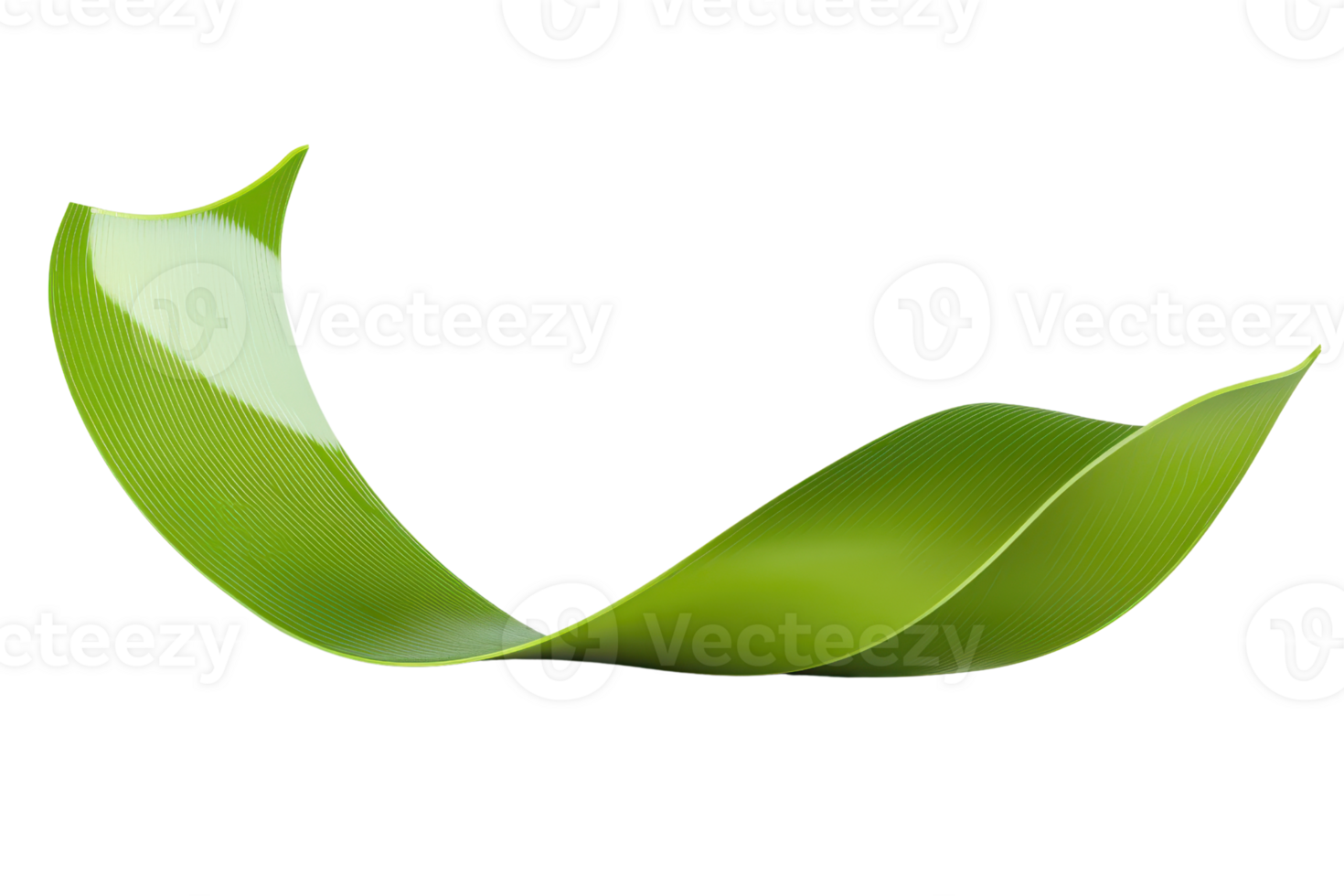 Abstract green leaf isolated on transparent background. modern design, nature-inspired, minimalistic illustration for eco-themed projects. png