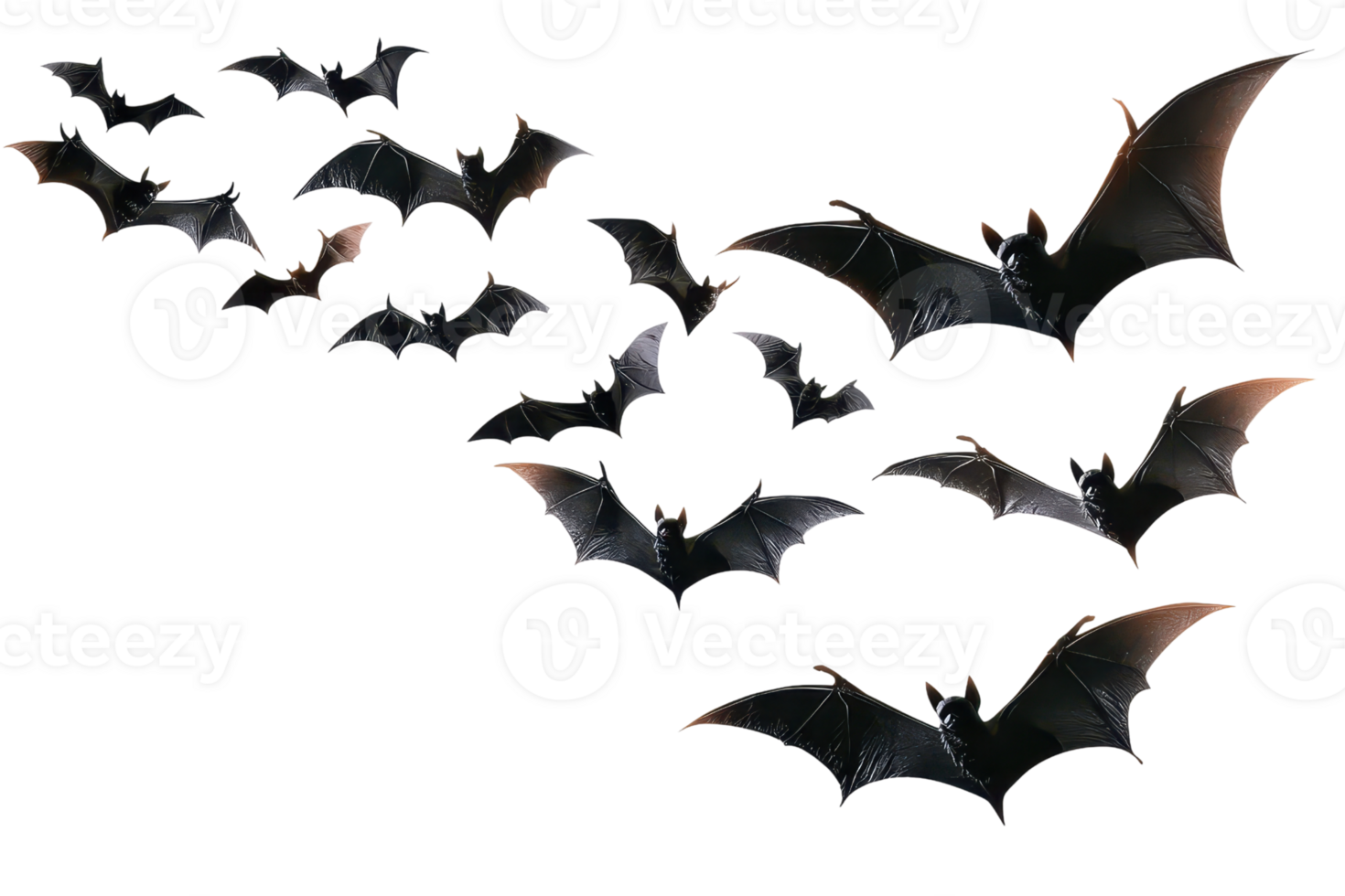 A colony of bats in flight against a transparent background, showcasing their wings and detailed features in mid-air. png