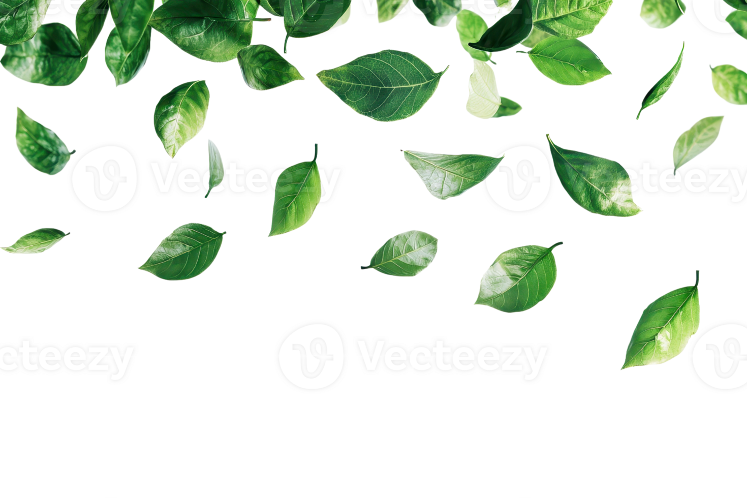 Scattered green leaves on a transparent background. creating a natural and fresh frame, perfect for eco-friendly designs and projects. png