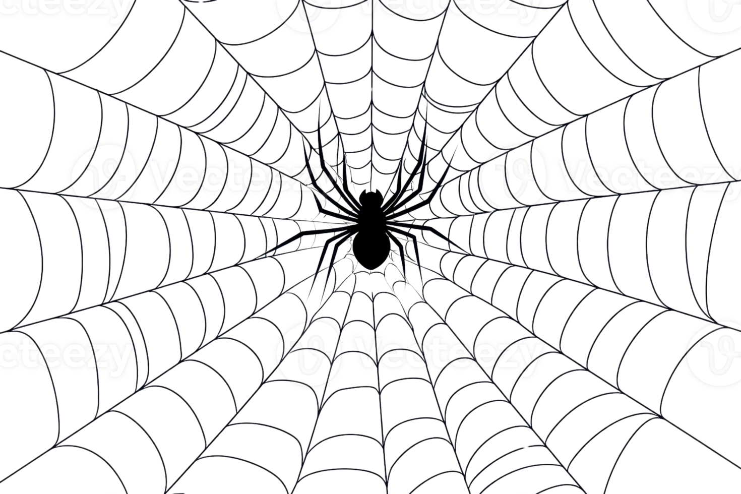 Intricate spider web spun meticulously with the spider at the center, showcasing nature's delicate and detailed craftsmanship. png