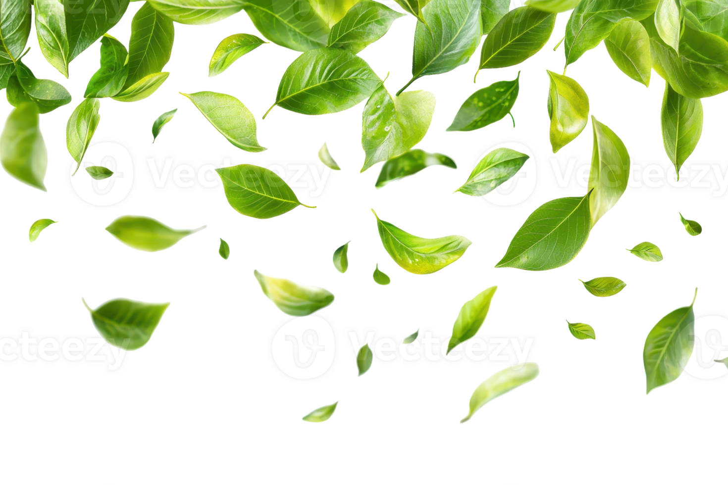 A vibrant assortment of green leaves scattered elegantly on a transparent background. perfect for various design and nature-related uses. png