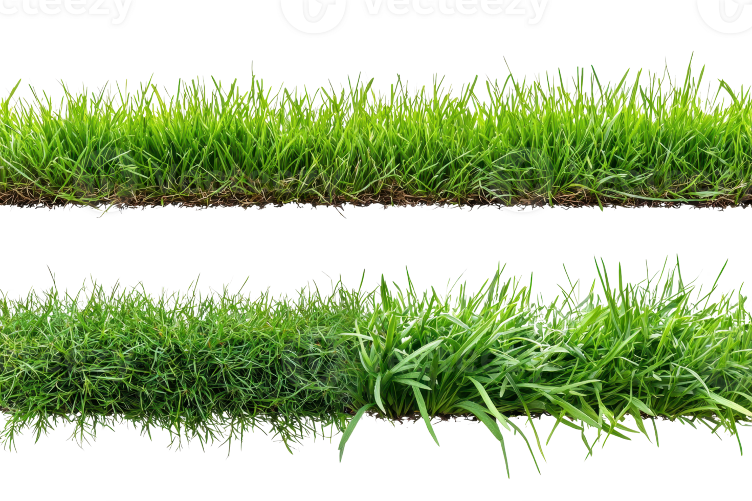 Close-up of a vibrant green grass strip isolated on transparent background. perfect for natural, botanical, and landscaping themes. png