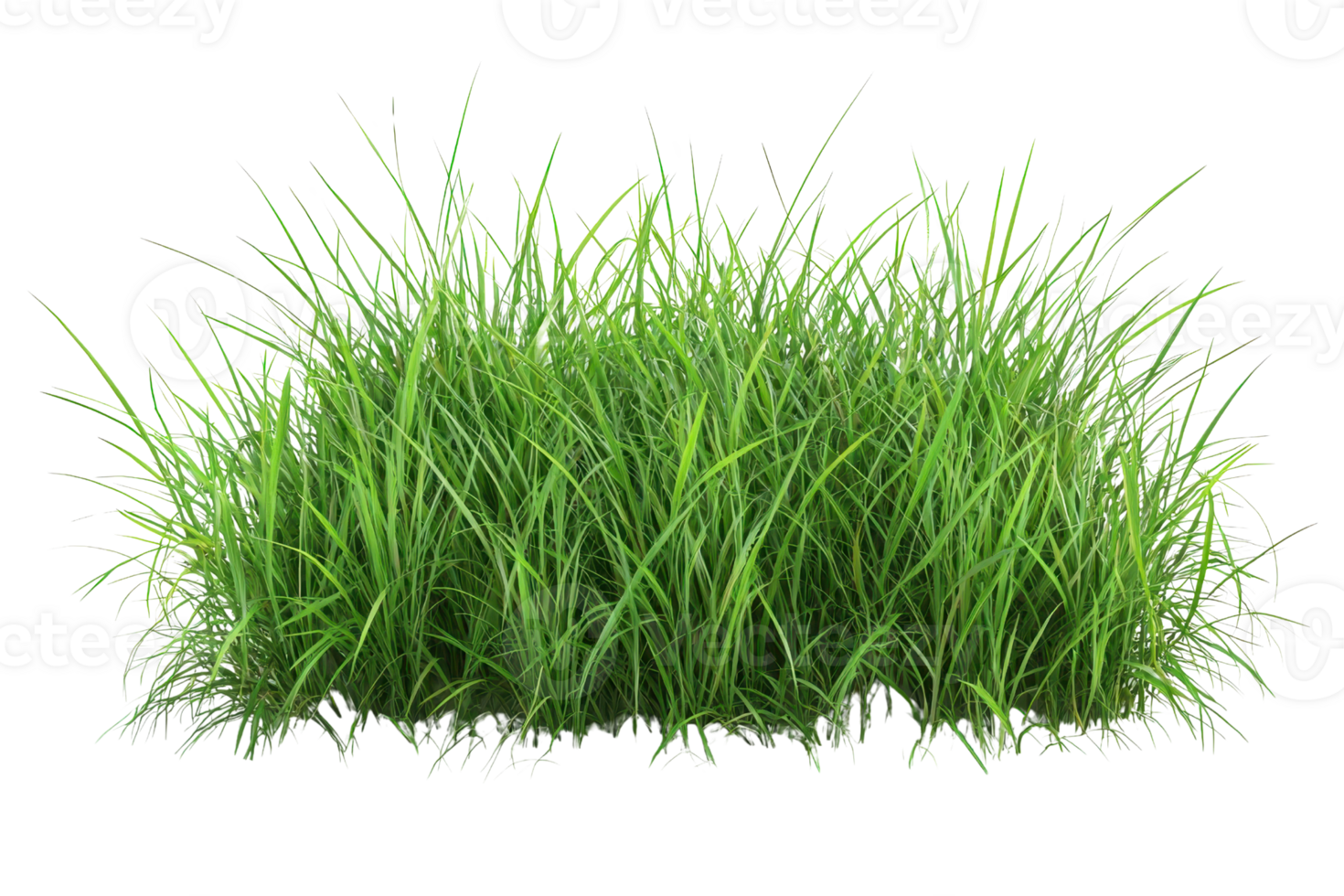 Fresh and lush green grass isolated on a transparent background. Perfect for design projects, landscaping, and nature-themed visuals. png