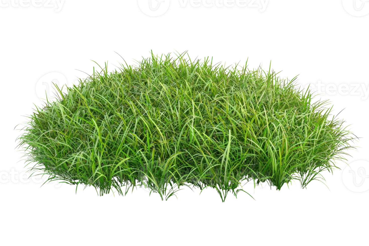 Lush green grass clump, isolated on transparent background. Perfect for nature, gardening, and landscape design concepts. png