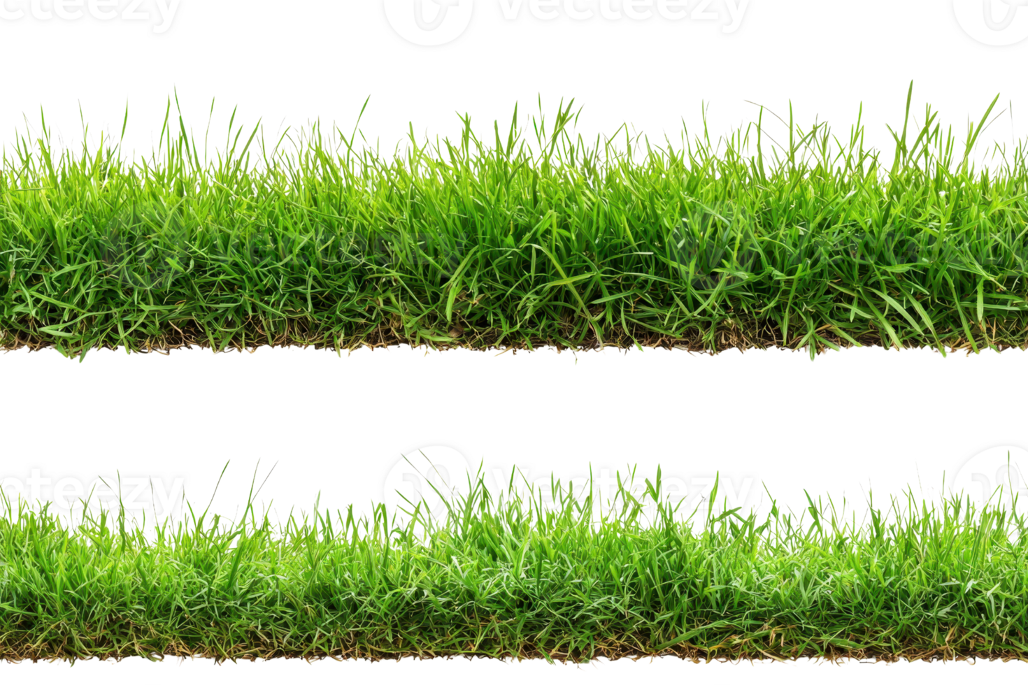 Two lush green grass borders isolated on transparent background. perfect for gardening and landscaping projects. png
