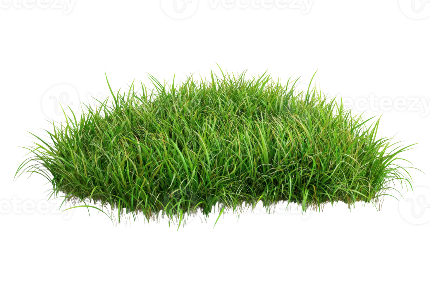 Lush green grass isolated on transparent background. perfect for nature and landscaping themes in a clear, high-resolution image. png