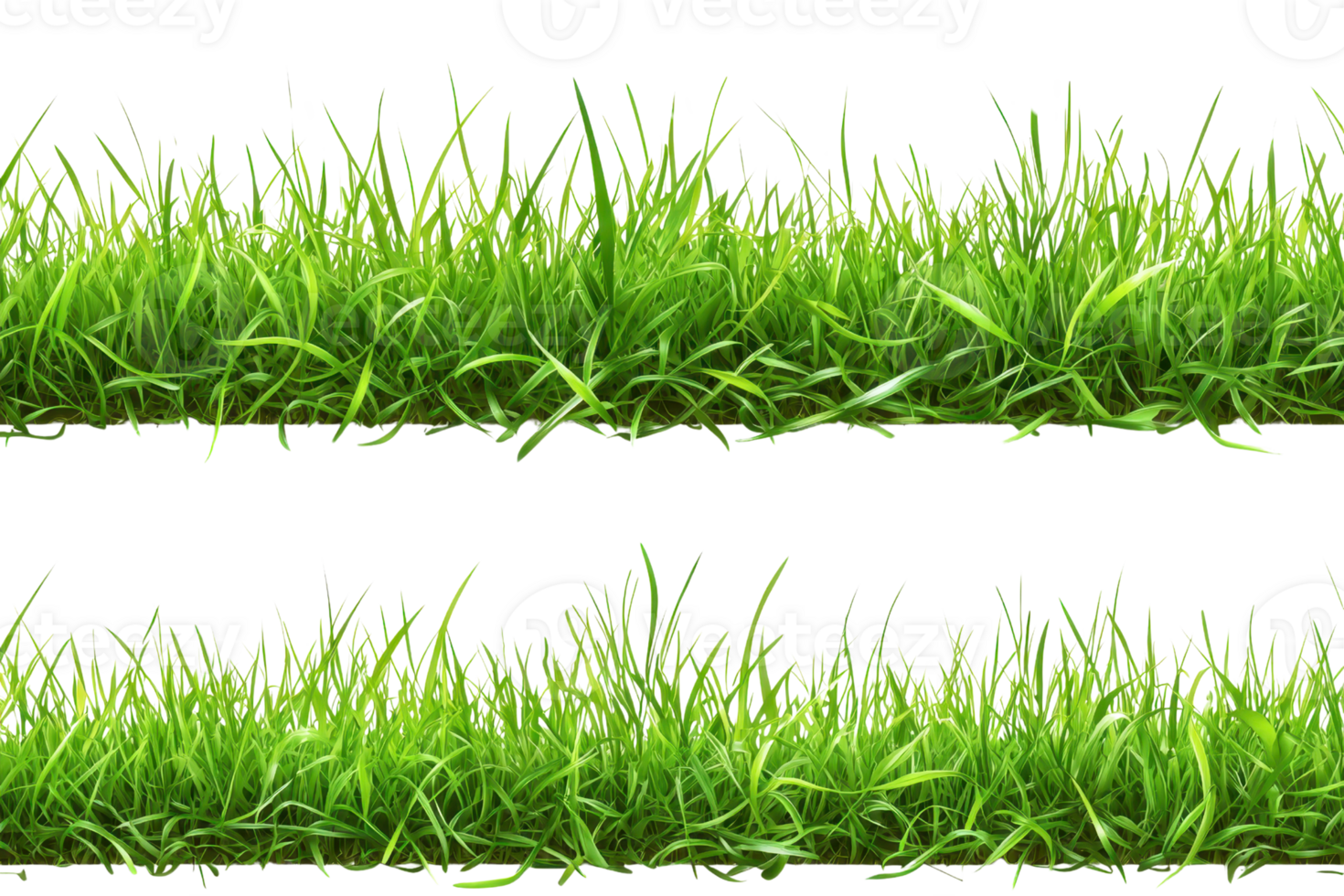 Two sections of vibrant green grass isolated on a transparent background, ideal for design and nature-related projects. png
