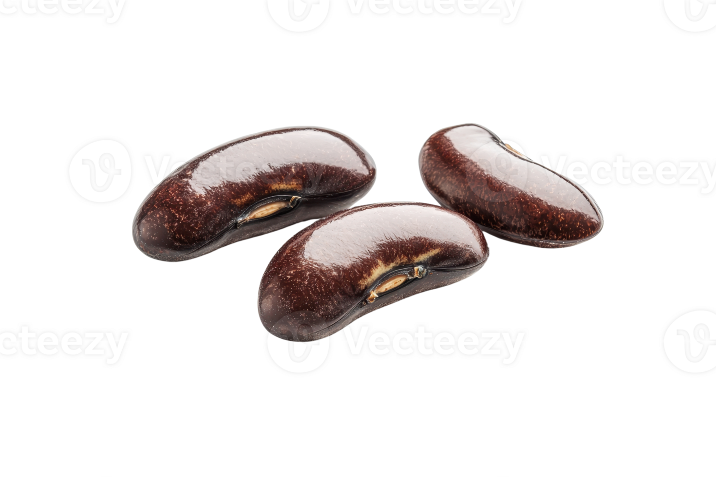 Close-up of three glossy dark brown seeds isolated on transparent background. Perfect for health-related and culinary content. png