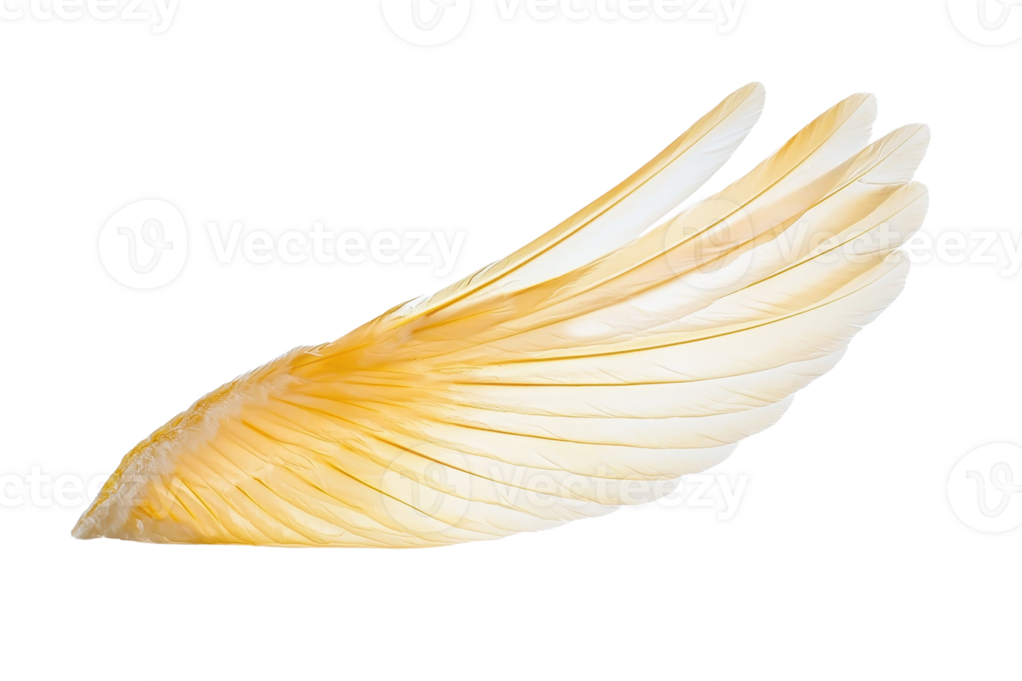 Golden angelic wing with intricate feather details, symbolizing purity and divinity on transparent background. png