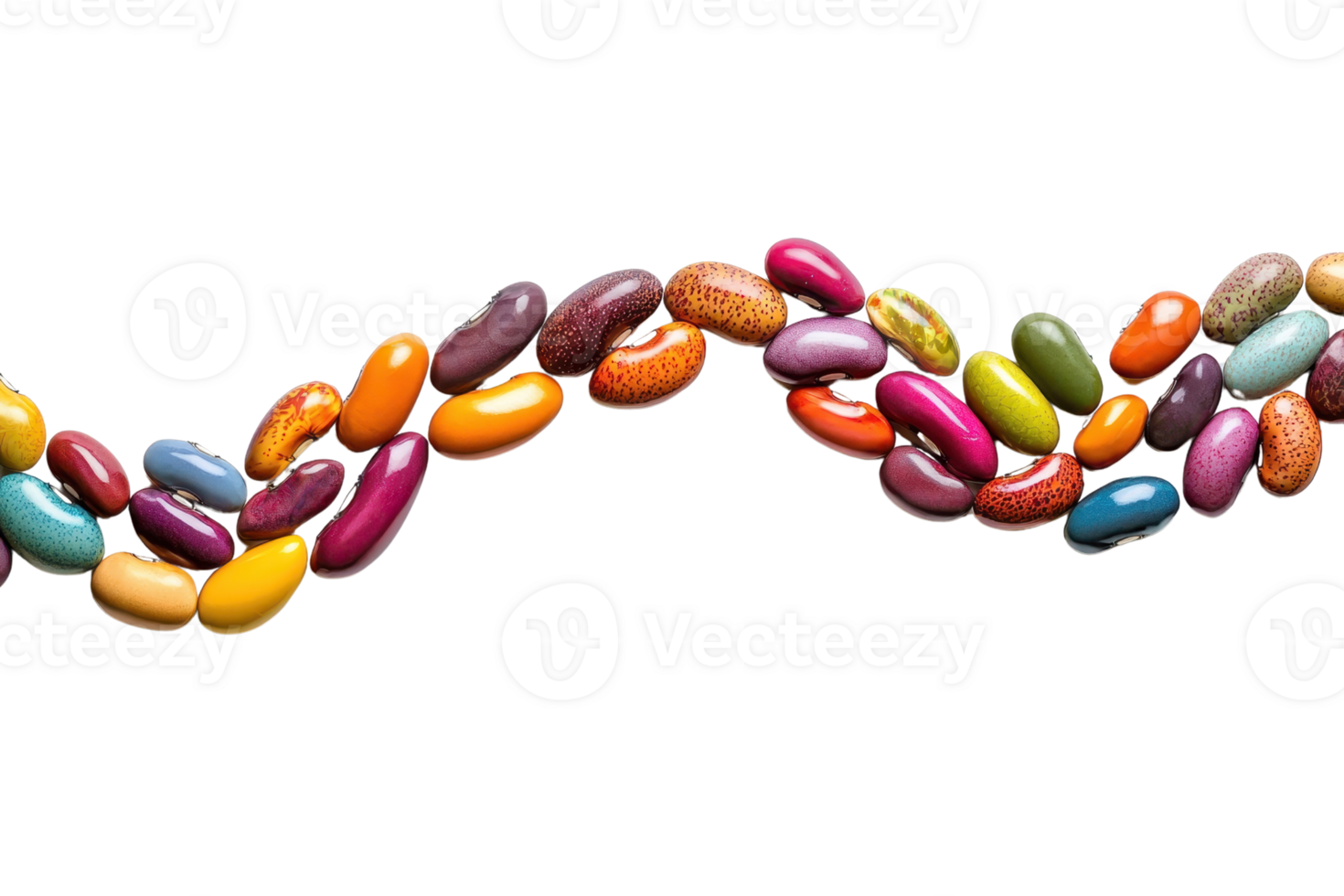 Colorful assortment of various beans arranged in a wave pattern on a transparent background. showcasing diversity in shape and color. png