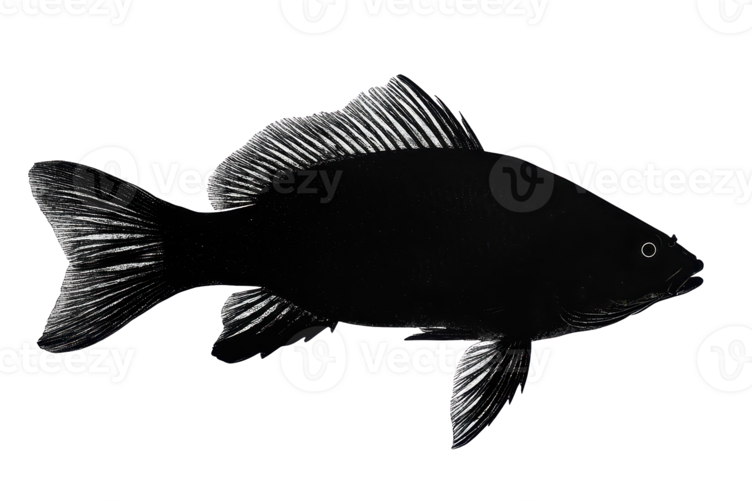 Black fish silhouette on a transparent background, perfect for design, illustrations, and aquatic-themed projects. png