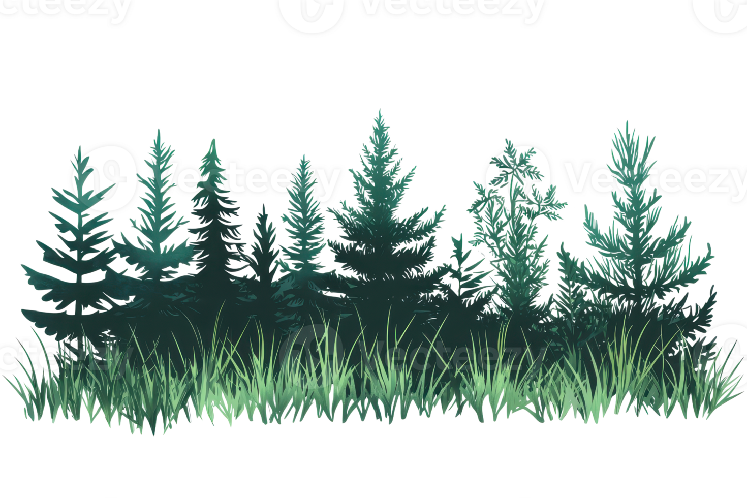 Illustration of a dark evergreen forest with tall pine trees and lush green grass, capturing the serenity and mystery of nature. png