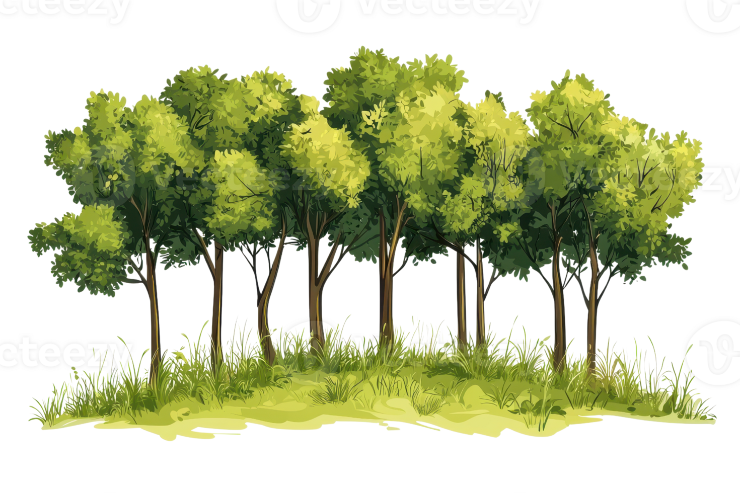 A beautiful watercolor illustration of lush green trees standing together in a serene natural setting. png