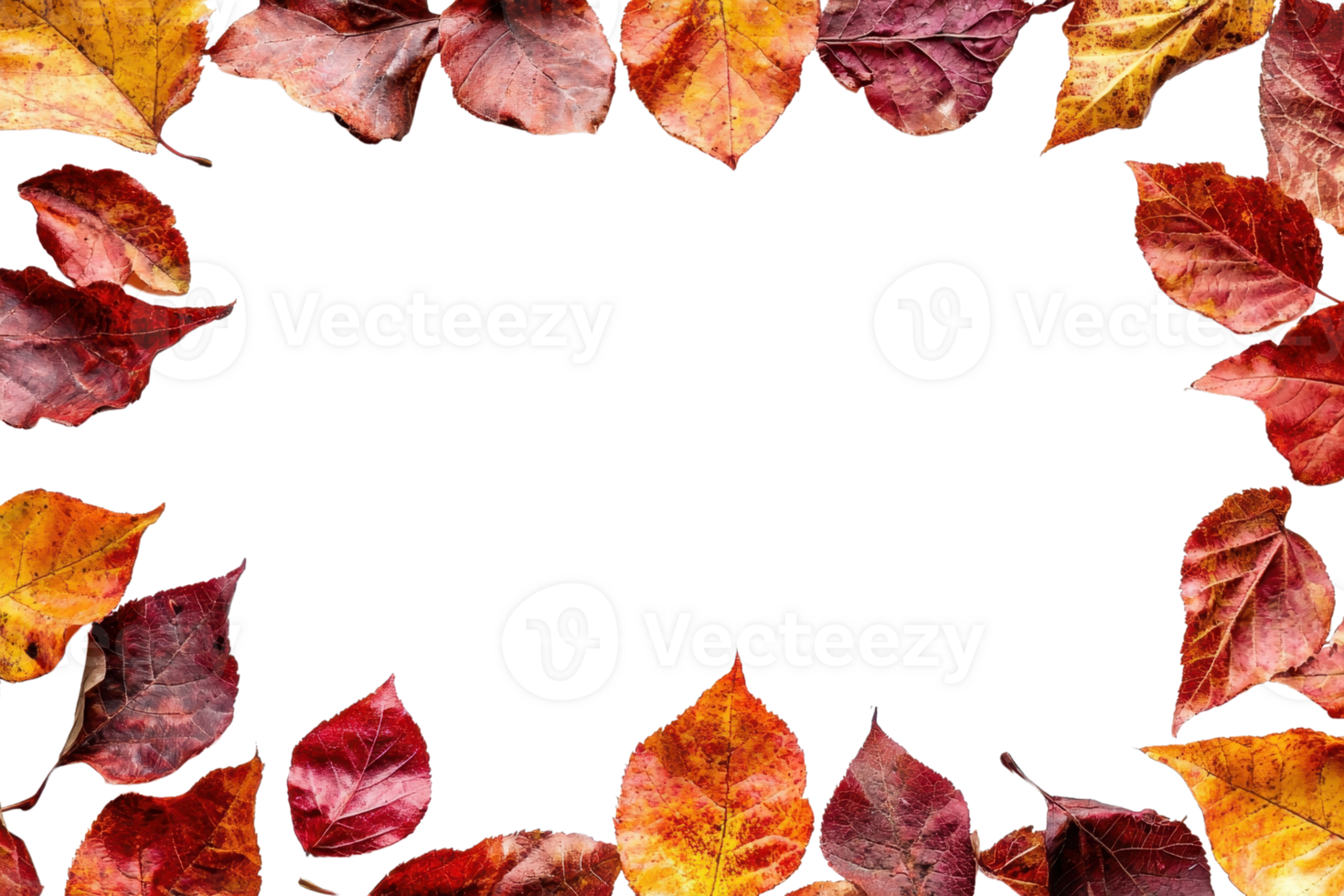 Frame made of colorful autumn leaves on transparent background. perfect for seasonal design, decoration, or as a nature-themed border. png