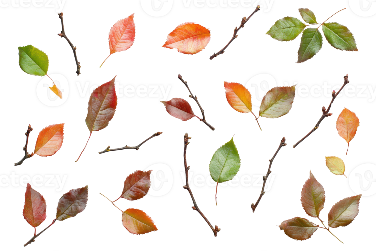 Collection of autumn leaves and branches isolated on a transparent background. Perfect for seasonal designs and nature themes. png