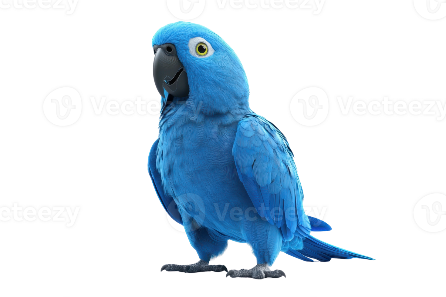Vibrant blue cartoon parrot illustration with detailed feathers, standing on its feet. Ideal for animations or character design. png