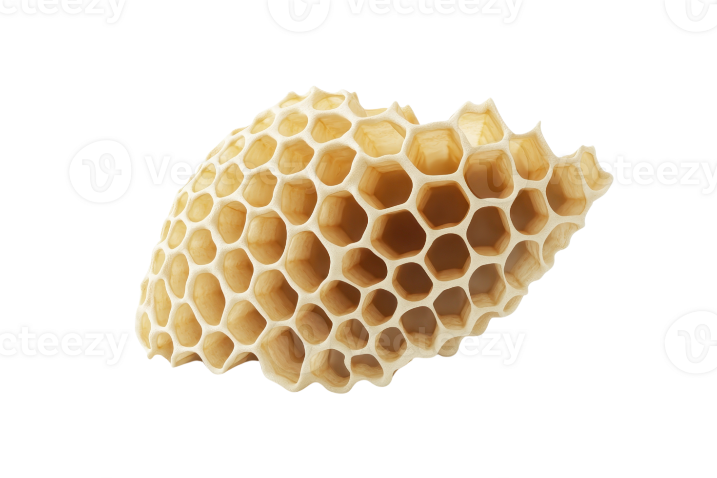 Close-up of an intricate honeycomb structure on a transparent background. showcasing natural geometric patterns and textures. png