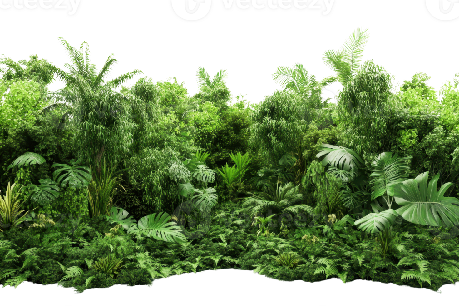 Lush green tropical rainforest showcasing dense vegetation, large leaves, and exotic plants in a vibrant natural landscape. png