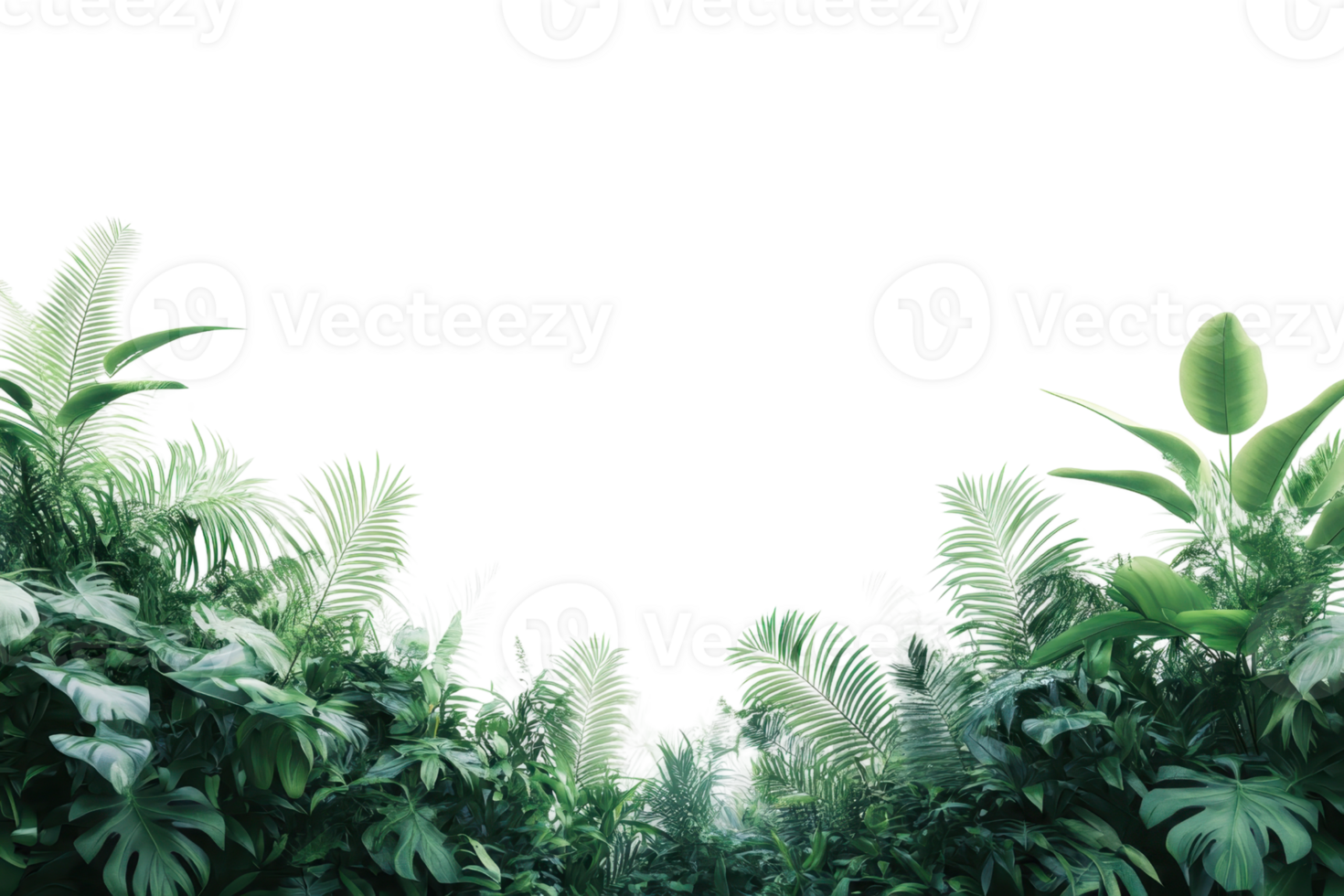 Lush green tropical rainforest with dense vegetation, perfect for nature, environmental backgrounds, and eco-friendly themes. No sky visible. png