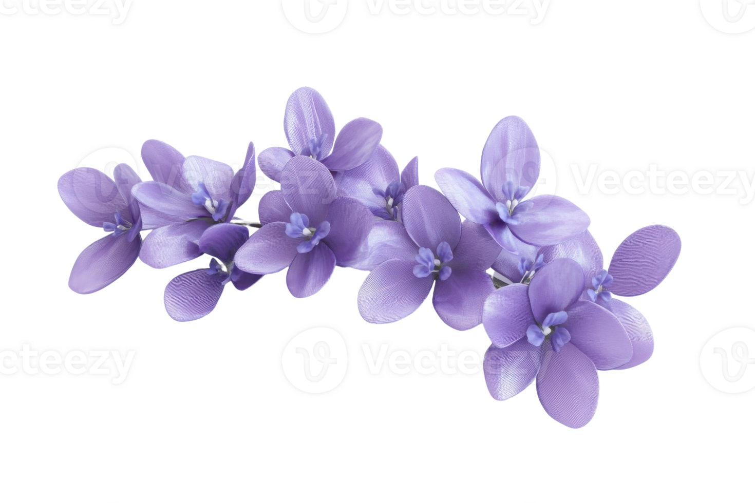 A cluster of vibrant purple flowers isolated on a transparent background. showcasing natural beauty and delicate floral details. png