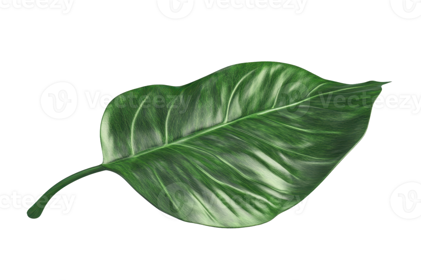High-resolution image of a vibrant green leaf isolated on a transparent background. Ideal for nature, botanical, and ecological themes. png